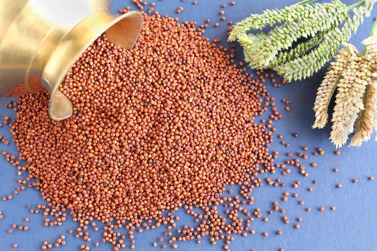 Finger Millet (Raagi)